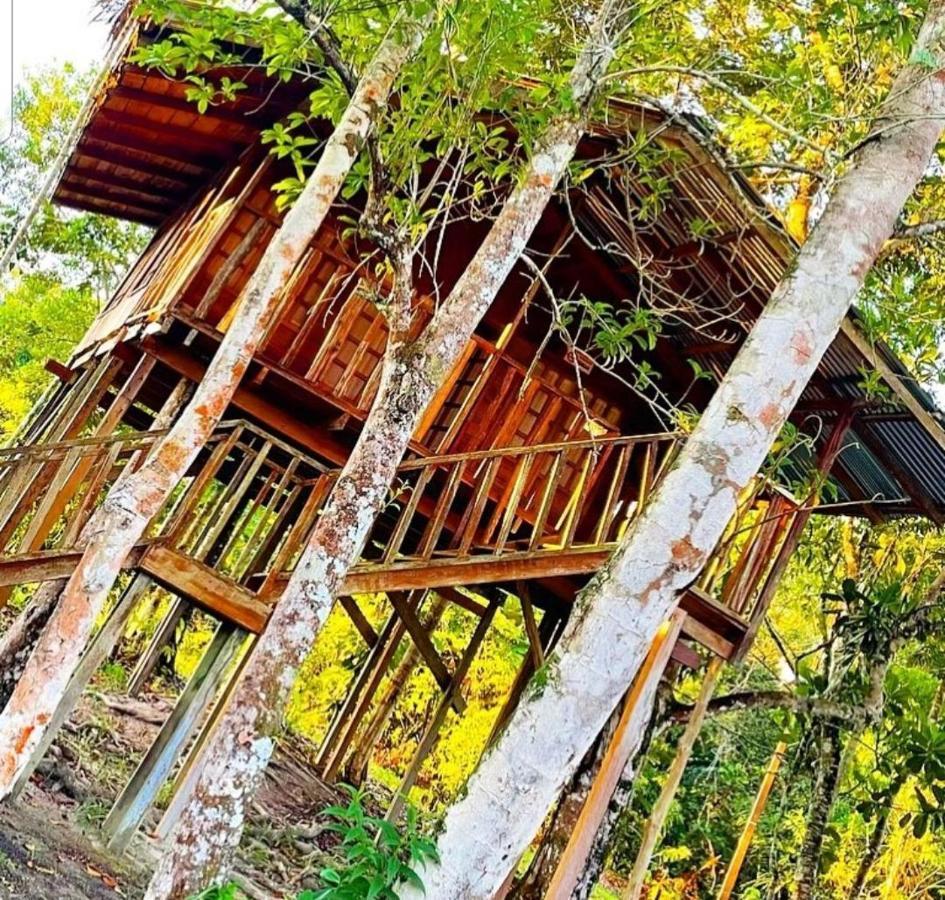 Hotel Karupa Amazonas Leticia Extérieur photo